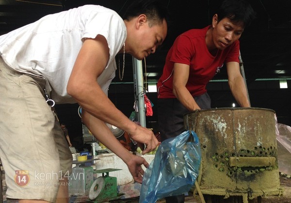 Chà vỏ sấu, kiếm bạc triệu mỗi ngày - ảnh 4