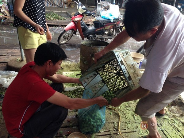 Chà vỏ sấu, kiếm bạc triệu mỗi ngày - ảnh 8