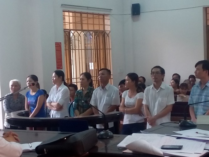 Tám người đi tù vì cưa… 12 cây tràm - ảnh 1