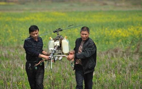 Nông dân chế máy bay để... phun thuốc trừ sâu - ảnh 1