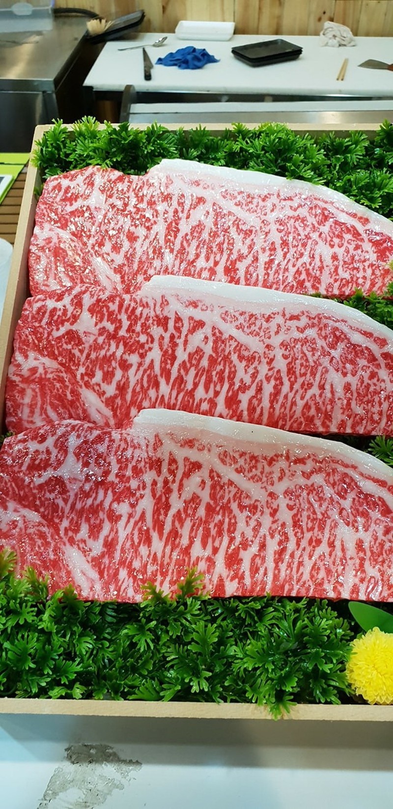 'Vua chuối' đưa bò nổi tiếng của Nhật Bản về Việt Nam - ảnh 2
