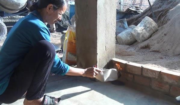 Đã xác định côn trùng tấn công người dân ở Phú Yên