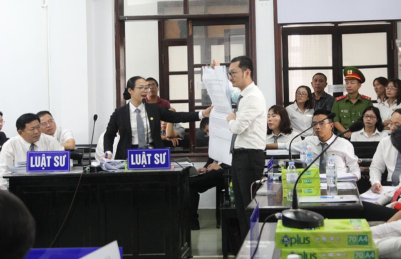 Các luật sư đề nghị tuyên vợ chồng LS Trần Vũ Hải vô tội - ảnh 3