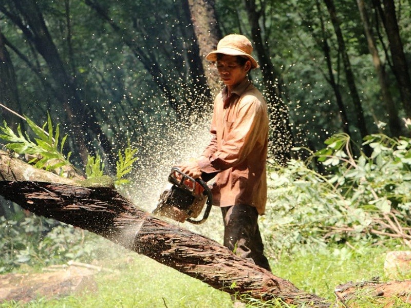 Gấp rút giải ngân 23.000 tỉ cho dự án sân bay Long Thành  - ảnh 1