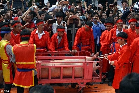 Một trong hai “ông Ỉn” dùng cho việc tế lễ.