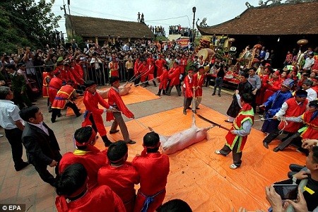 Đàn ông, trai tráng khỏe mạnh trong làng mặc trang phục truyền thống chuẩn bị cho lễ chém lợn.