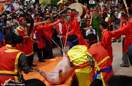 Đàn ông, trai tráng khỏe mạnh trong làng mặc trang phục truyền thống chuẩn bị cho lễ chém lợn.