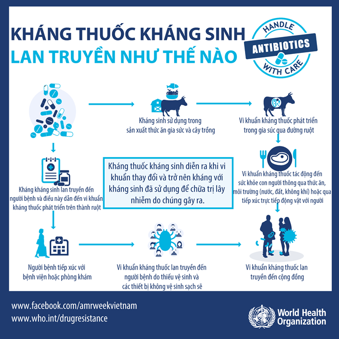 WHO khuyến cáo 5 điểm cần lưu ý khi sử dụng thuốc kháng sinh - ảnh 2