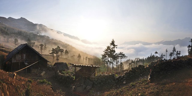 Sương sớm ở Hầu Thào (Lào Cai)