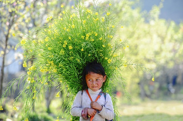 Em bé ở Sủng Là (Hà Giang)