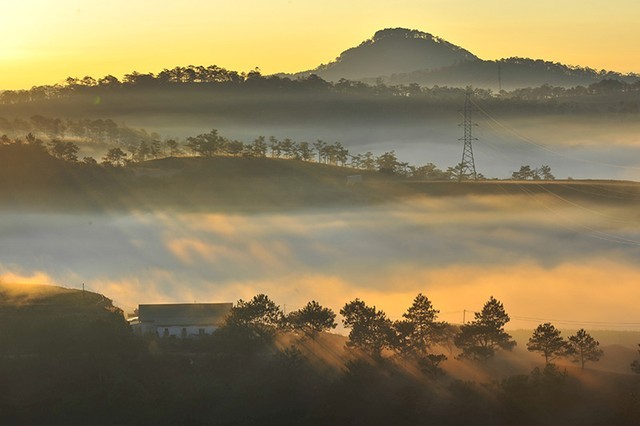 Bình minh trên cao nguyên Langbiang