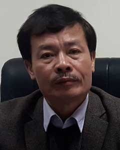 Năm 2020, không còn cảnh đâm trâu, chém heo trong lễ hội? - ảnh 1