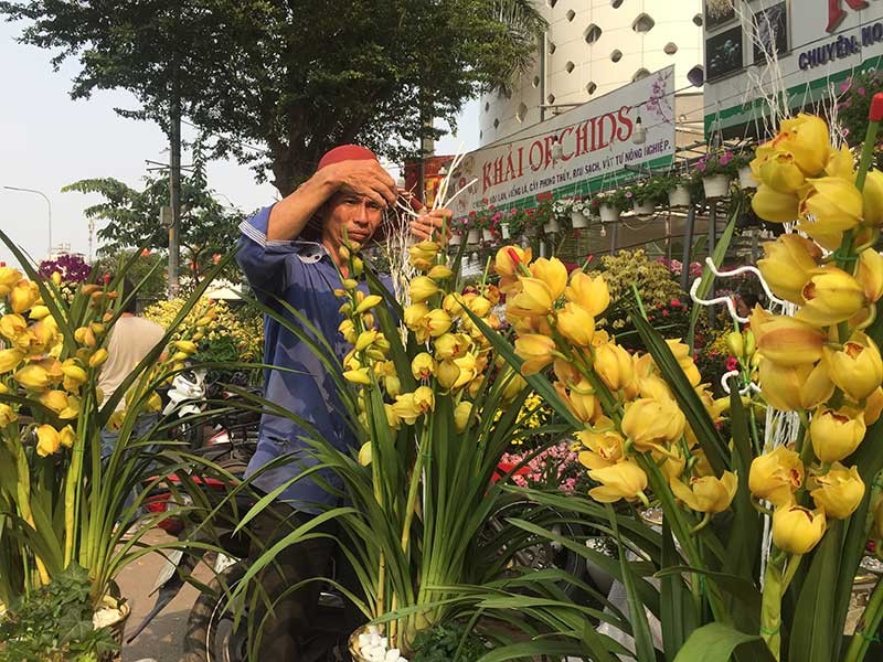 Hoa tết Việt Nam thắng đậm hoa Trung Quốc - ảnh 2
