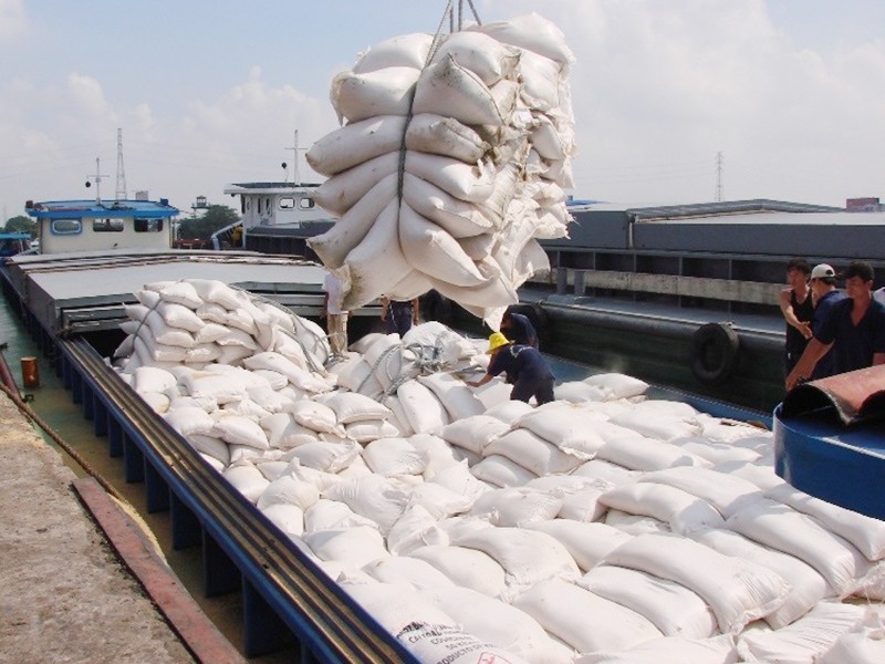Xuất khẩu gạo: Cần công khai, minh bạch, bình đẳng - ảnh 1