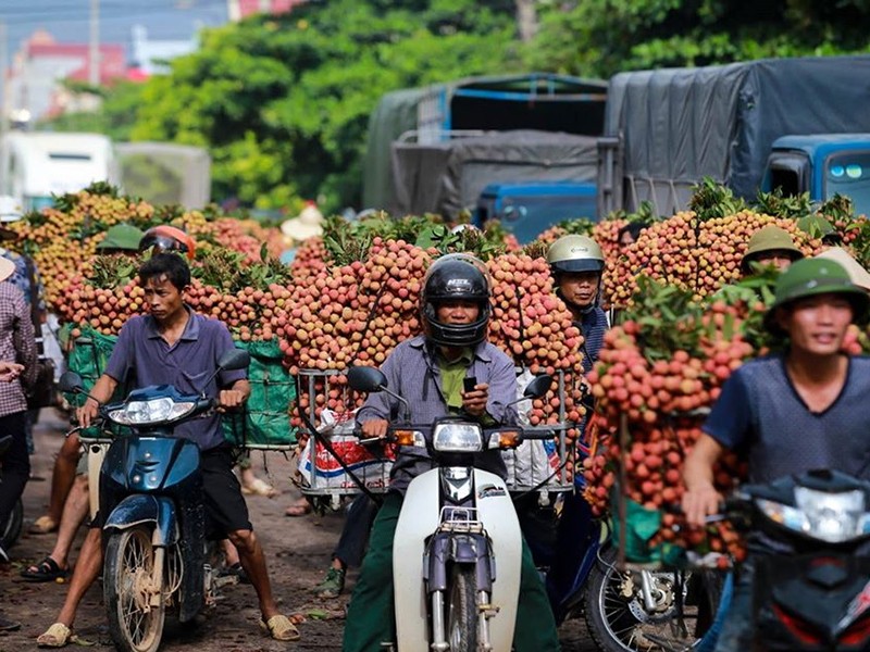 Nông sản Việt mở rộng thị trường ngoài Trung Quốc - ảnh 1