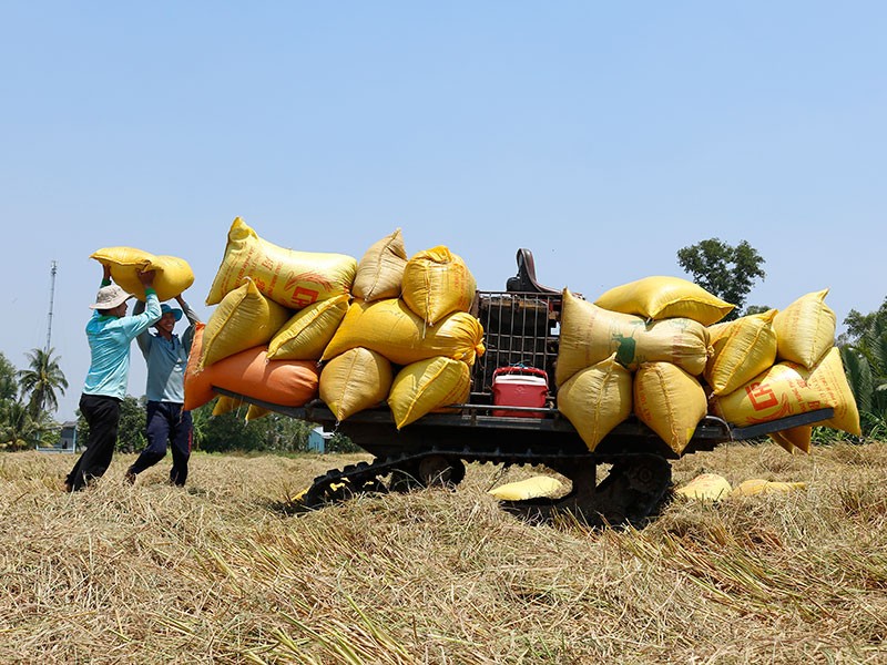 Pháp Luật TP.HCM cùng gỡ nút thắt phát triển - ảnh 1