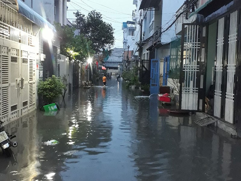 ‘Mong Báo có thêm nhiều bài viết dân sinh, gần gũi’ - ảnh 1