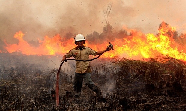 Khí thải cháy rừng Indonesia có thể ‘làm 110.000 người chết’ - ảnh 2