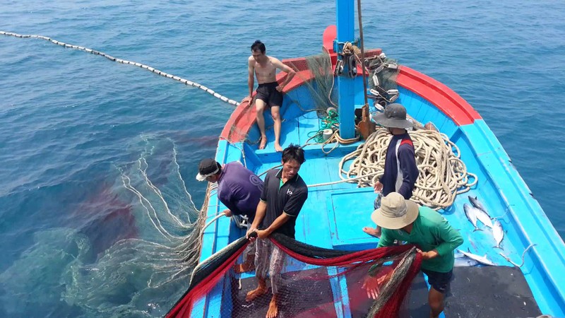 Bảo vệ ngư dân trước lệnh cấm đánh bắt của Trung Quốc | Thời sự | PLO