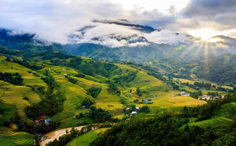 Fansipan mùa lúa chín đẹp ngất ngây - ảnh 1