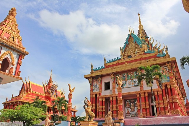 Ngắm 'mùa hoa cải nở vàng bên bến sông' ở xứ công tử Bạc Liêu - ảnh 7