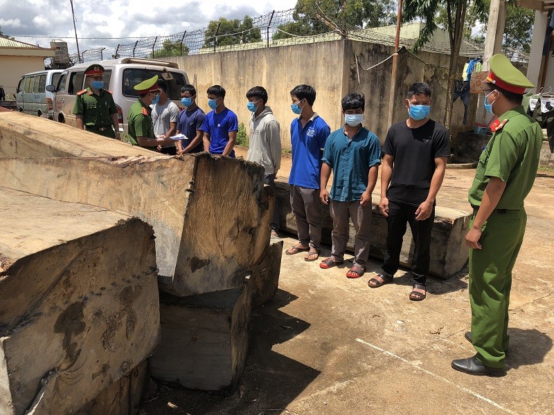 11 người phá rừng tại Đắk Nông khai do gia đình khó khăn - ảnh 3