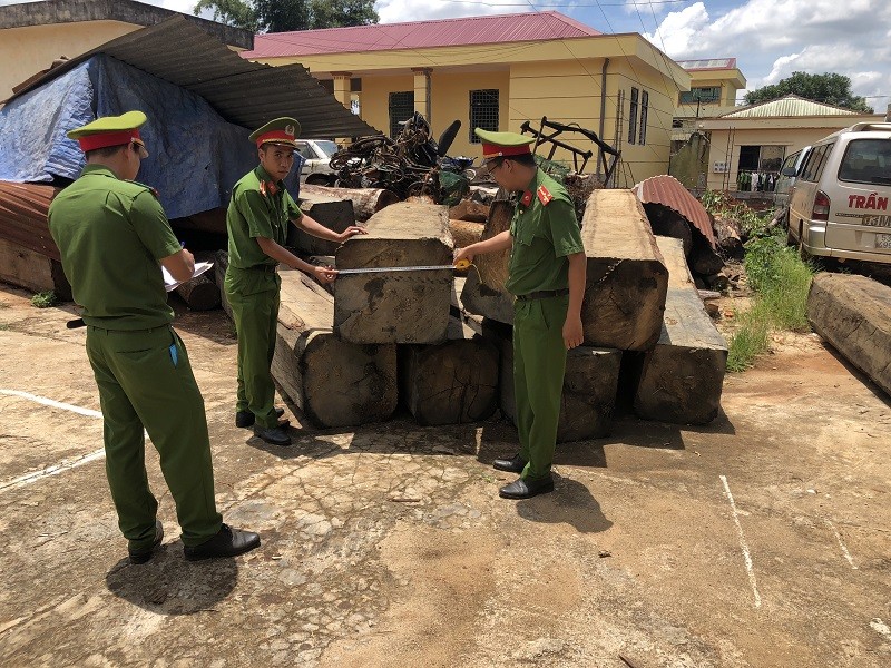 11 người phá rừng tại Đắk Nông khai do gia đình khó khăn - ảnh 2
