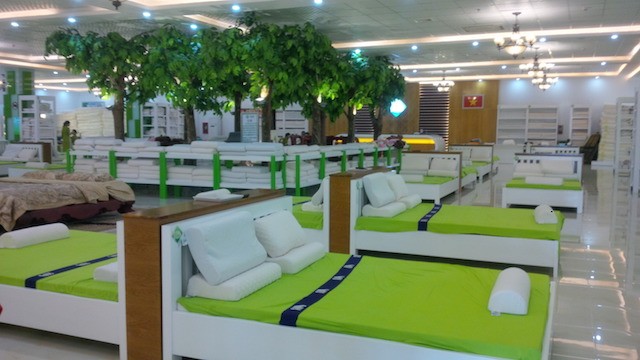 Bên trong showroom được cho là chỉ bán cho khách Trung Quốc có gì? - ảnh 9