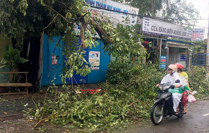 TP.HCM: Nhiều nơi thiệt hại nặng bởi cơn “cuồng phong” - ảnh 3