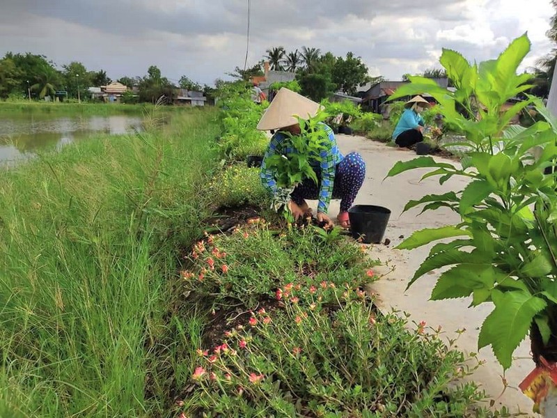 Huyện Bình Chánh: Xóa được nhiều điểm đen về rác - ảnh 2