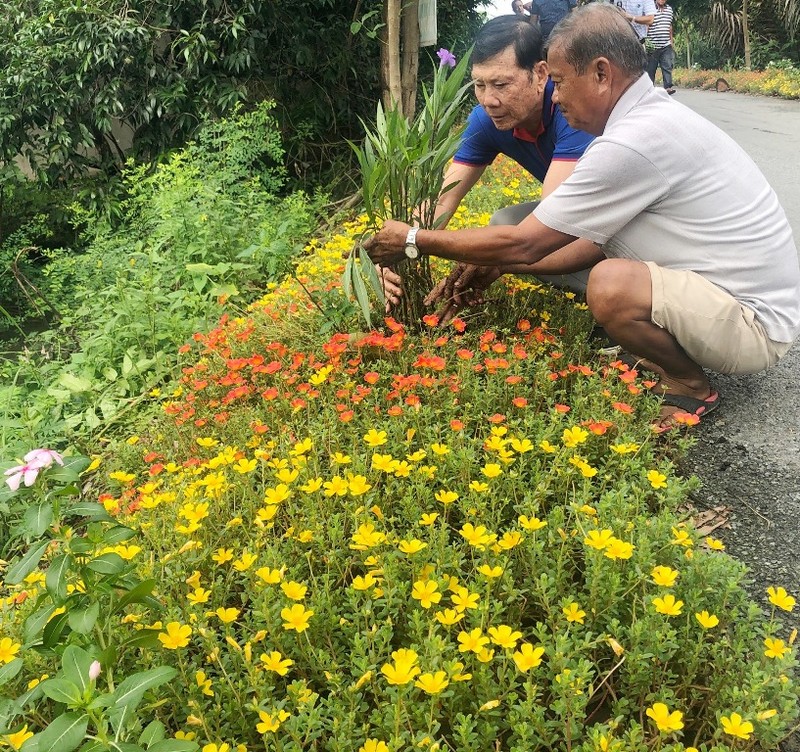 VWS trồng cây xanh và hoa dọc nhiều tuyến đường ở Đa Phước - ảnh 4