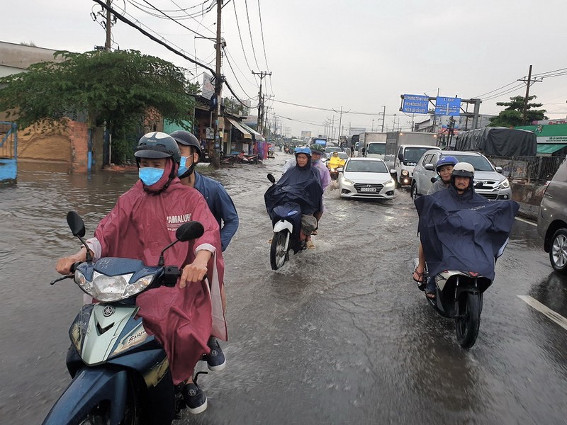 TP.HCM: Thực hiện Thỏa thuận Paris về biến đổi khí hậu - ảnh 1