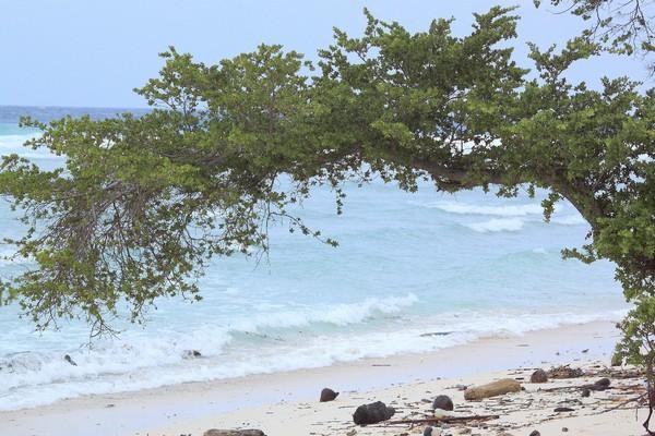 Đảo Gili Trawangan của Indonesia có dịch vụ rẻ nhất Đông Nam Á