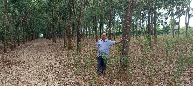 Nguyên đơn đề nghị giám đốc thẩm vụ 'Giấy hợp tác làm ăn hay hợp đồng chuyển nhượng quyền sử dụng đất?'
