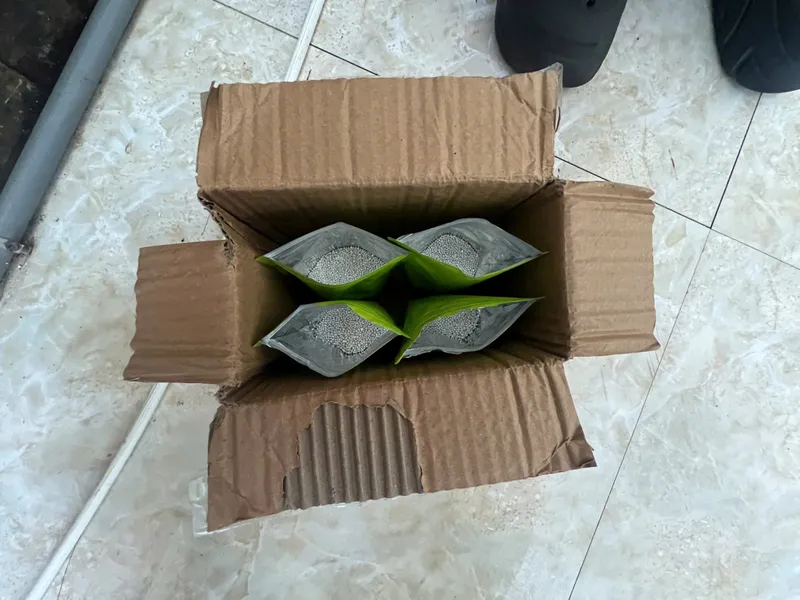 Giấu 20 kg bạc dưới đế giày rồi vận chuyển trái phép qua biên giới