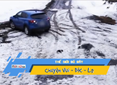 Video: Khoảnh khắc chó cứu bạn khỏi bánh xe tử thần
