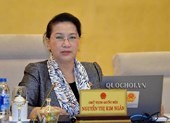 Đề nghị Quốc hội giám sát tình hình tội phạm xâm hại trẻ em