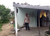 Rắc rối vụ án nghi mất cây mai cảnh