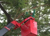 CN cấp nước, môi trường đòi 22 tỉ đồng nợ lương, thưởng