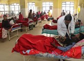 Ngộ độc rượu, 93 người chết, 200 người còn nhập viện
