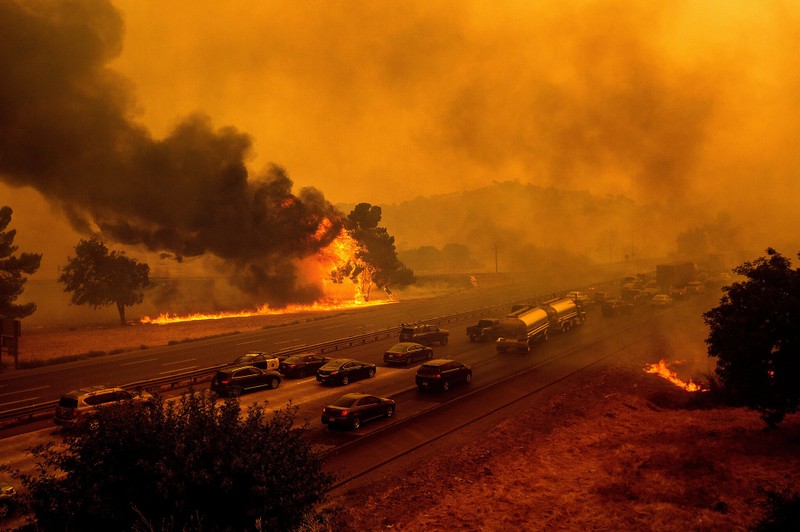 Bé trai ôm chó cưng thiệt mạng trong đám cháy ở California  - ảnh 2