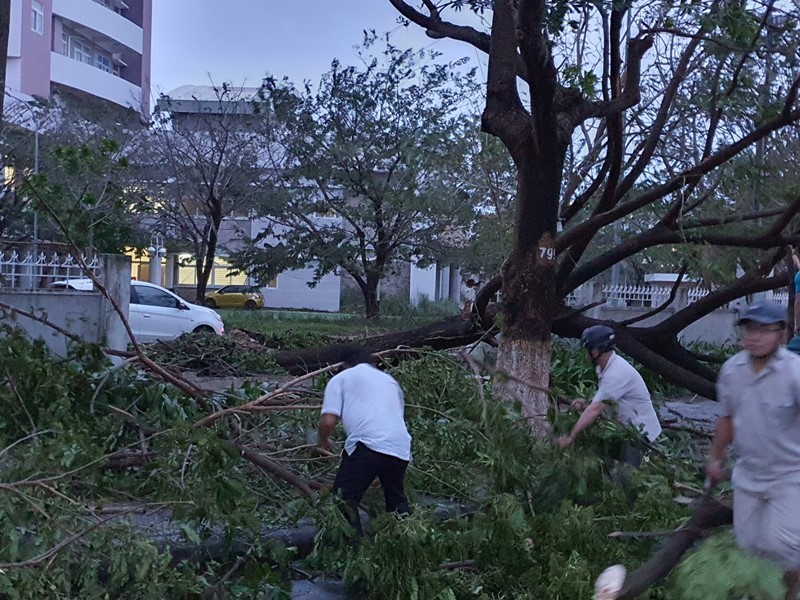 Đà Nẵng: Bờ biển tan hoang, đường phố ngổn ngang sau bão số 9 - ảnh 10