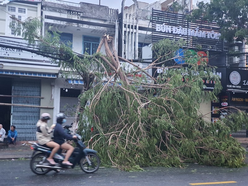 Đà Nẵng: Bờ biển tan hoang, đường phố ngổn ngang sau bão số 9 - ảnh 5