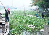 Chích điện cá phóng sinh ngay sát vách chùa
