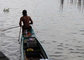 Cá, rùa vừa phóng sinh đã bị ‘vợt’ ngay trên sông
