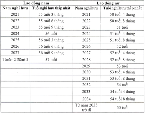 Chính phủ quy định tăng tuổi nghỉ hưu với người lao động - ảnh 1