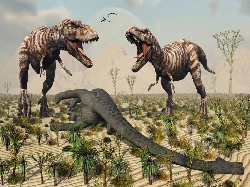 Sắp đấu giá hóa thạch T-Rex hoàn chỉnh nhất thế giới  - ảnh 2