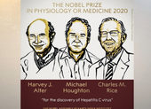 Nobel Y học vinh danh 3 nhà khoa học nghiên cứu viêm gan C