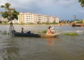 Video: Cần Thơ ngập nặng, dân dùng xuồng di chuyển trên đường