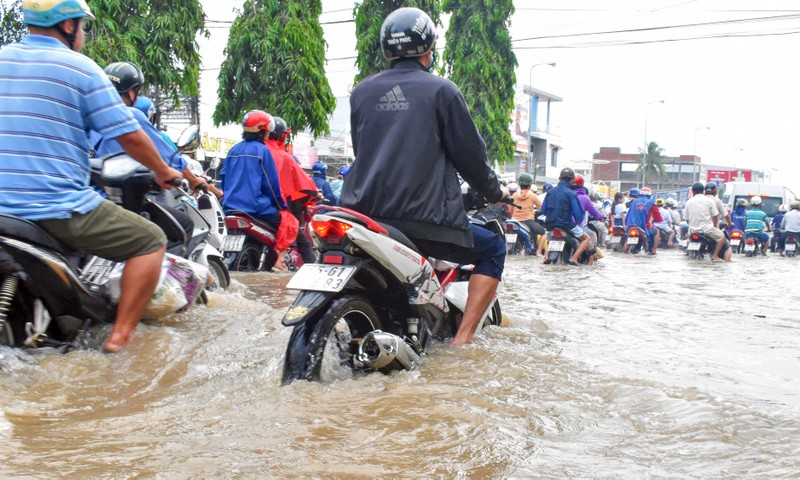 Dân Cần Thơ bì bõm lội nước đưa con đến trường - ảnh 1